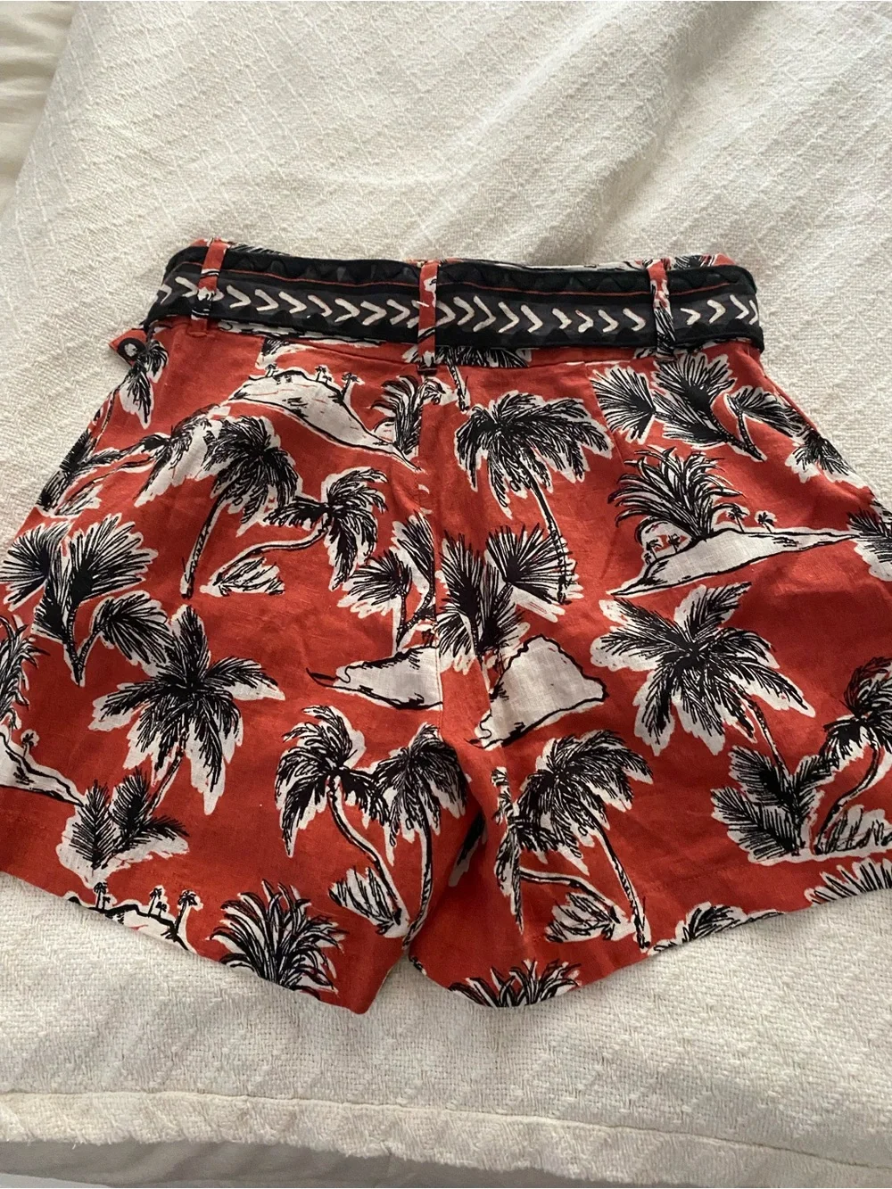 Tahari tropical palm